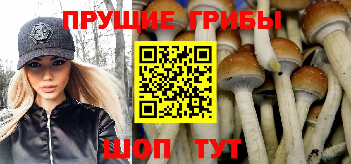 Волжск  Псилоцибиновые грибы прущие грибы  Вход с VPN 